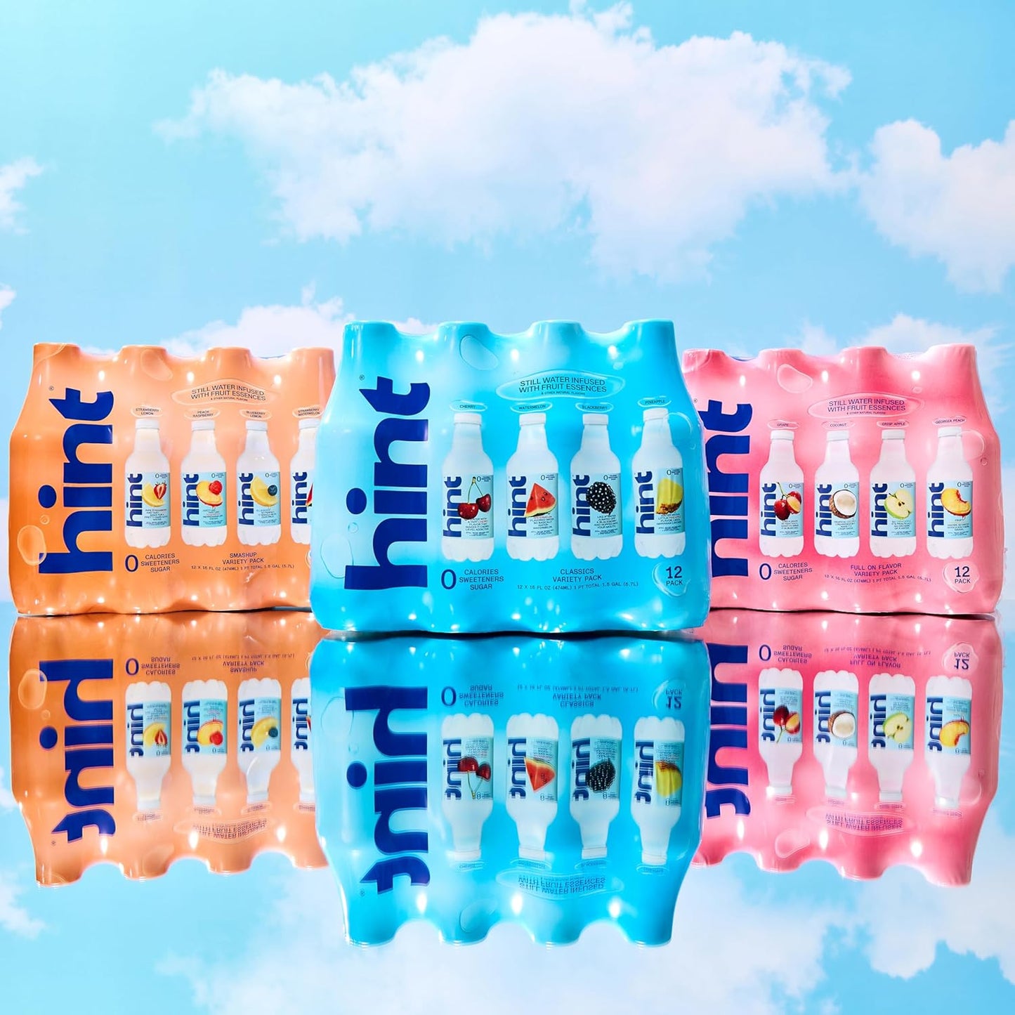 Hint Portable Fruit Water for Picnics and Park Picnicking, Recyclable 12-Pack Bottles