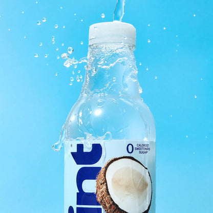 Hint Portable Fruit Water for Picnics and Park Picnicking, Recyclable 12-Pack Bottles