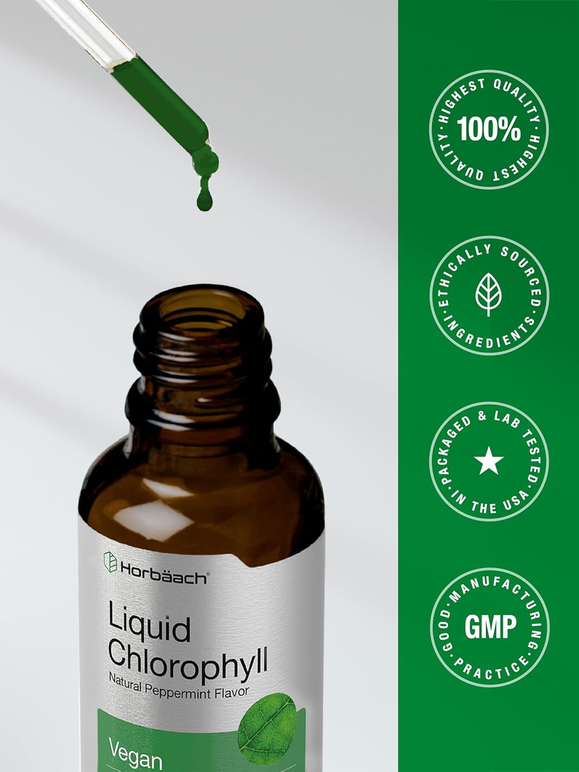 Horbäach Liquid Chlorophyll Drops – Thoughtful Wellness Gift for Her, Vegan Plant-Based Supplement with Peppermint Flavor