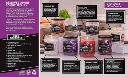 Hostess Gift Candle Set, Handcrafted Soy Blend in Cylindrical Glass Jars, Two Pack Scent Combinations for Any Occasion