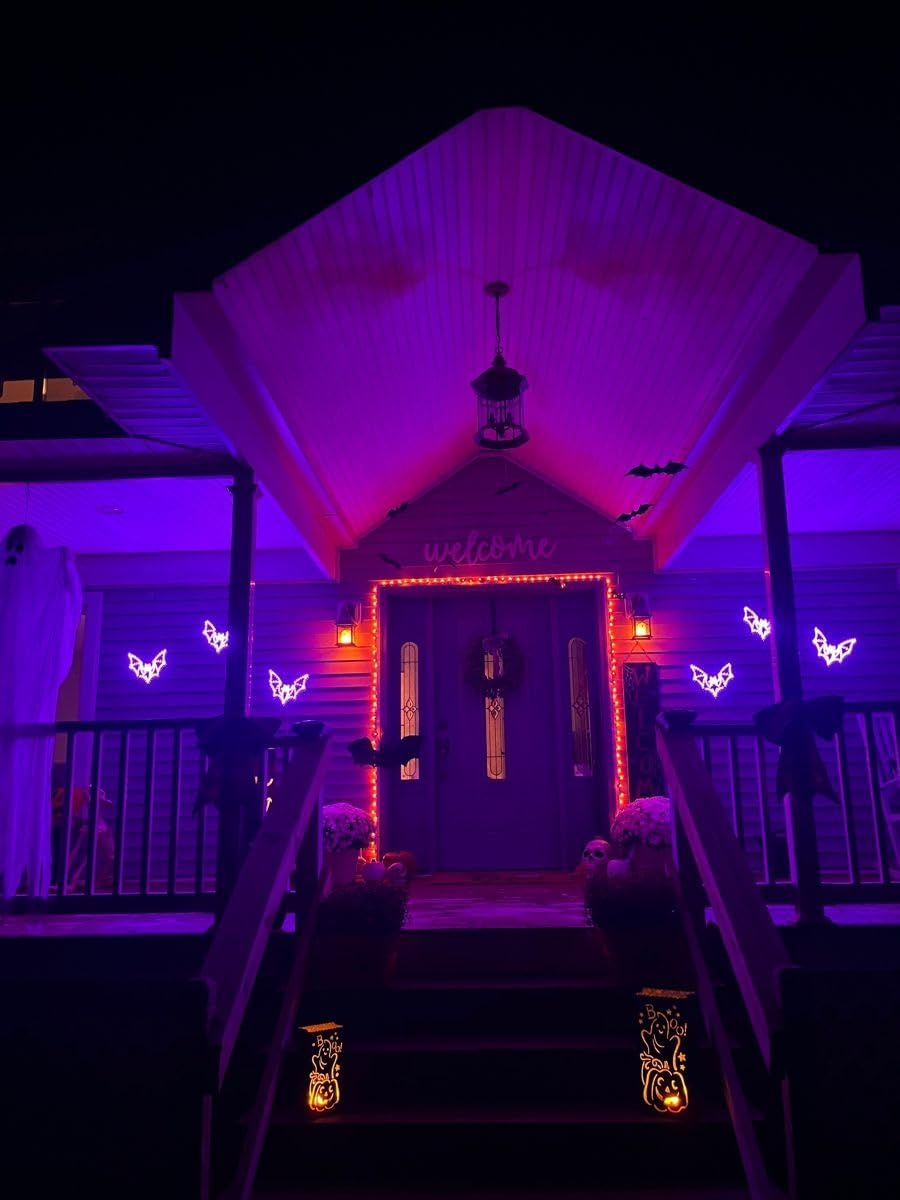 indoor and outdoor rated construction with f20 flame-shaped bulb profile