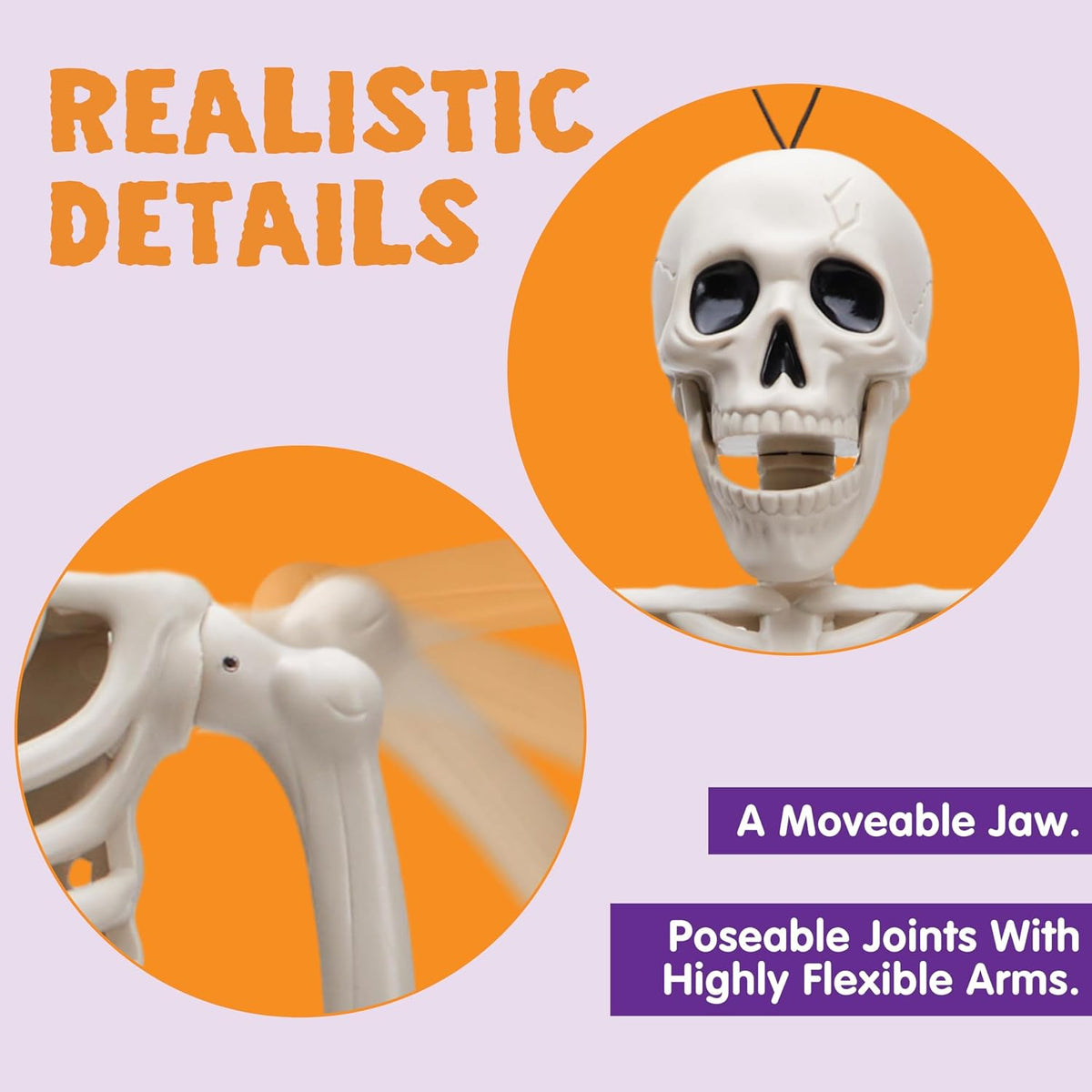 intricate human skeleton detailing with polished finish