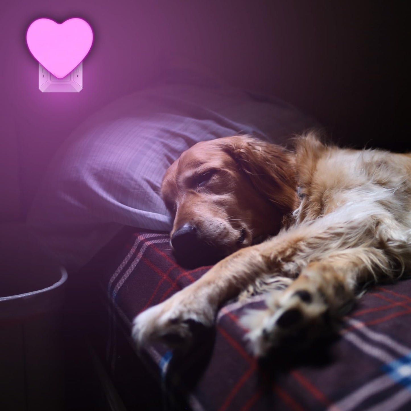 INZU Heart-Shaped LED Night Light for Bedroom Decor – Pink Plug-in Accent for Nursery, Living Room, and Girl's Room Aesthetic