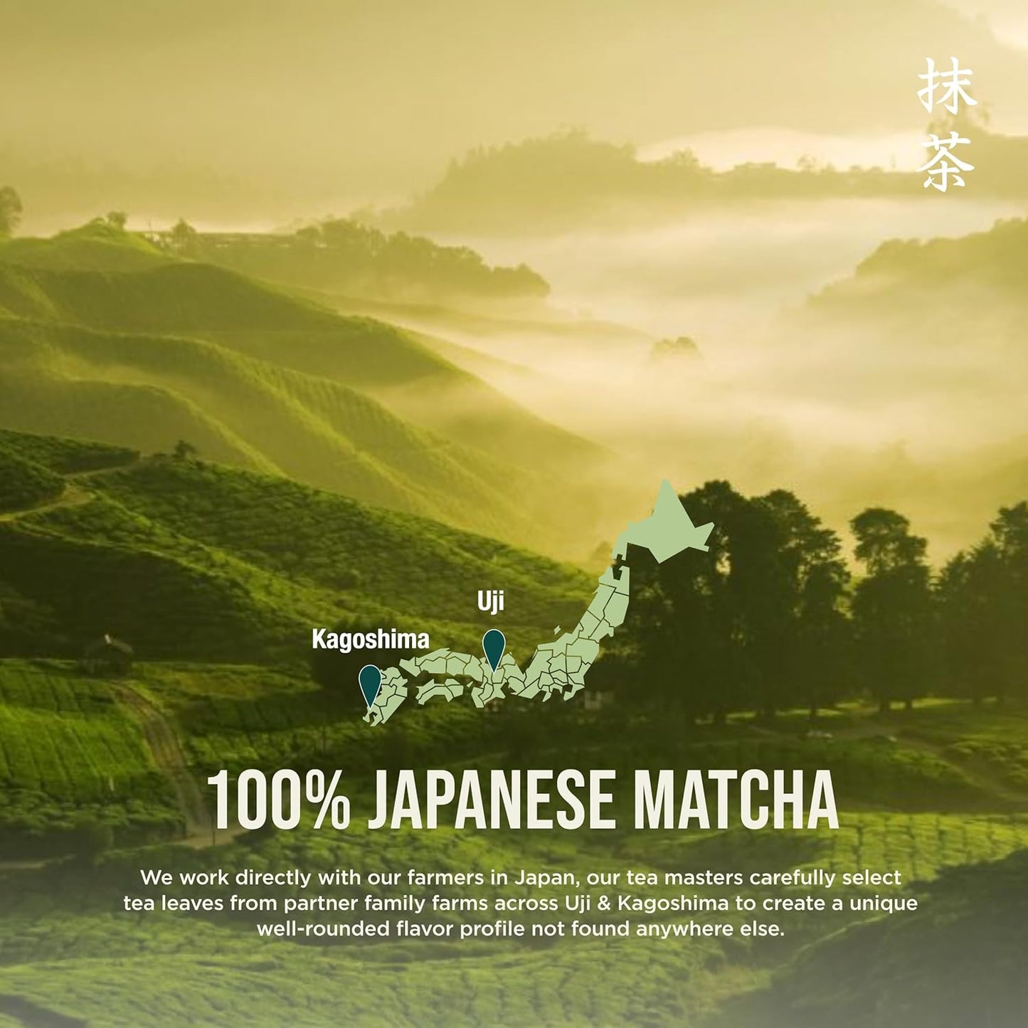 Jade Leaf Matcha Ceremonial Grade Japanese Matcha – Premium Uji First Harvest Tin for Elevated Tea Ritual