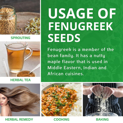 Jiva Organic Fenugreek Seeds 7 Ounce – Whole Fenugreek Seeds for Maple-Scented Hair Steams, Potent Spice Infusions & Sensory Calm
