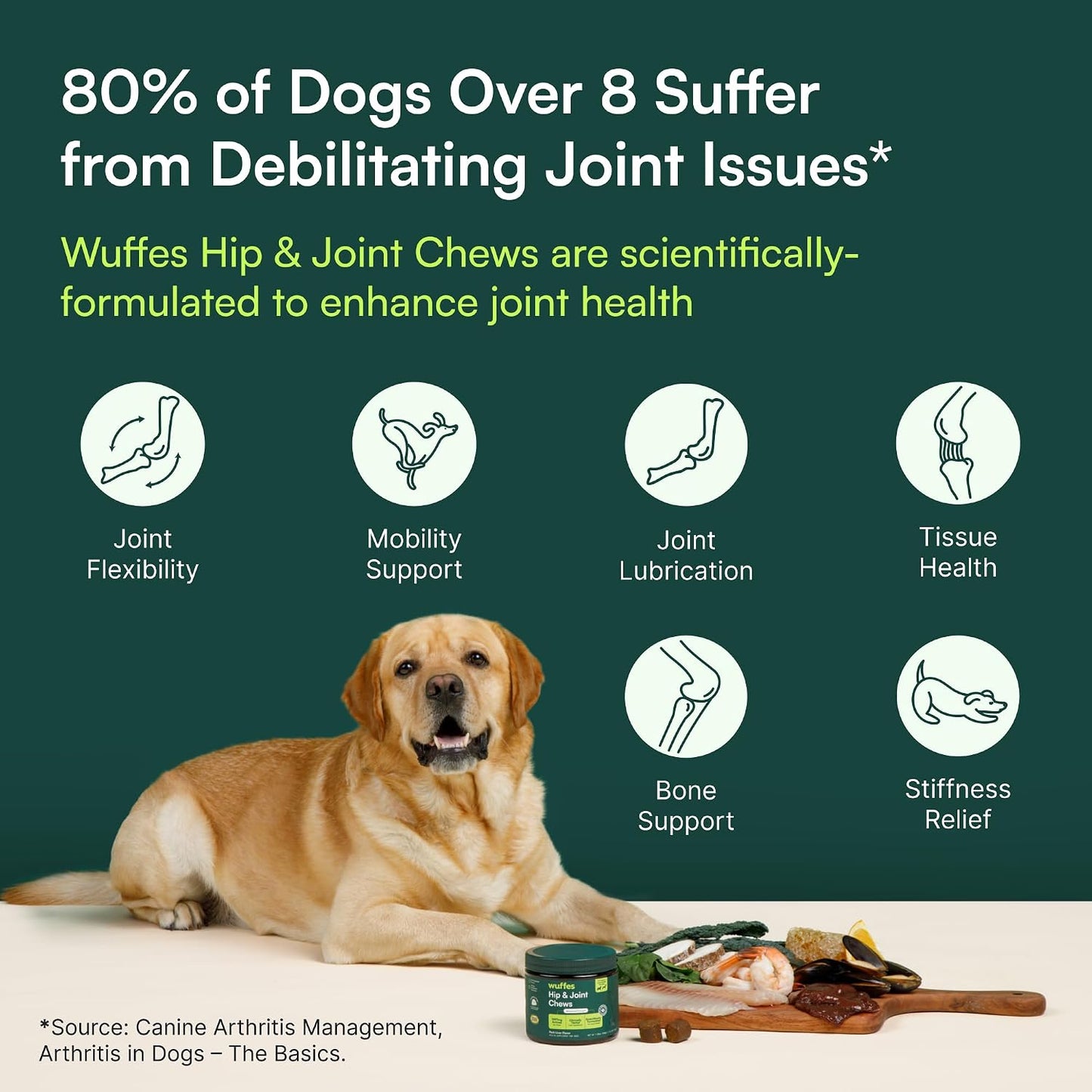 Joint Care Chews for Giant Breeds – Morning Routine Supplement for Stiff Senior Dogs