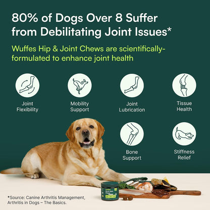 Joint Care Chews for Giant Breeds – Morning Routine Supplement for Stiff Senior Dogs