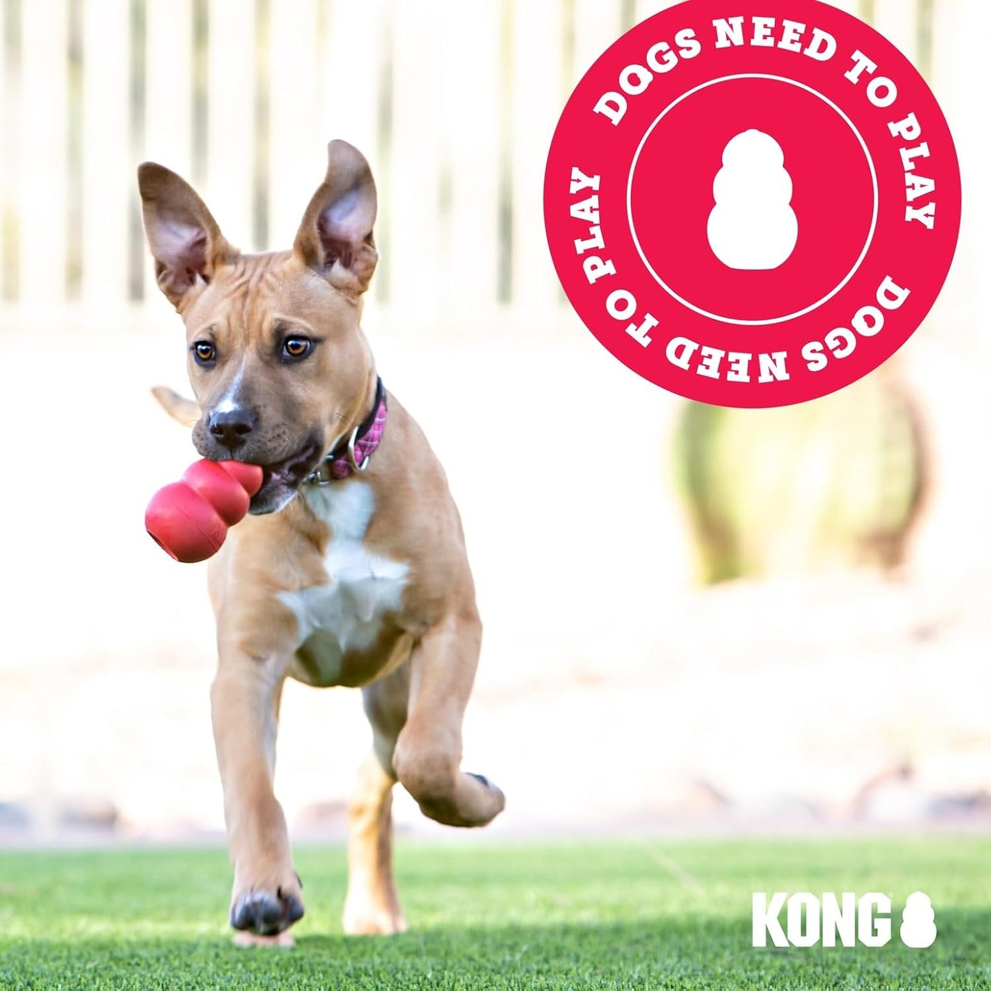 KONG Flyer Natural Rubber Dog Fetch Disc for Backyard and Beach Play, Outdoor Flying Toy for Active Medium and Large Dogs
