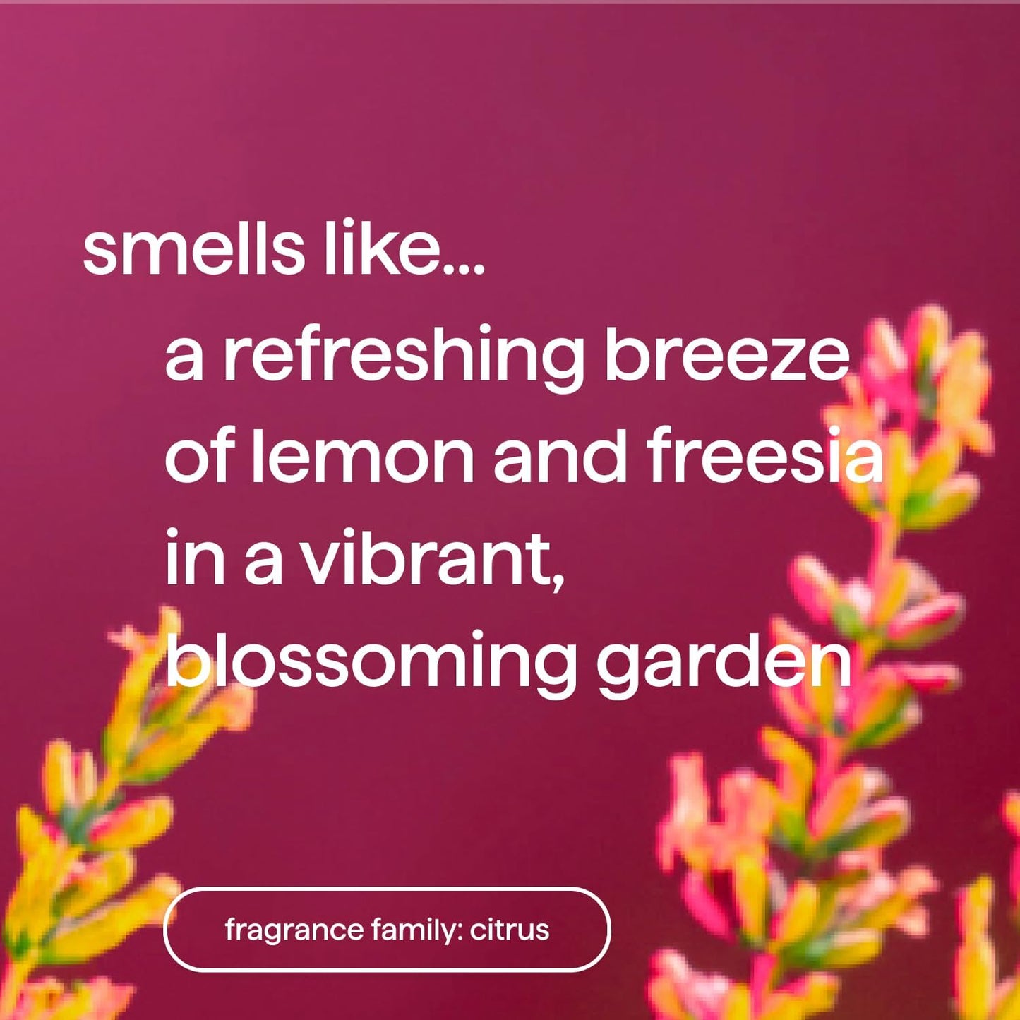 lemon + freesia fragrance blend