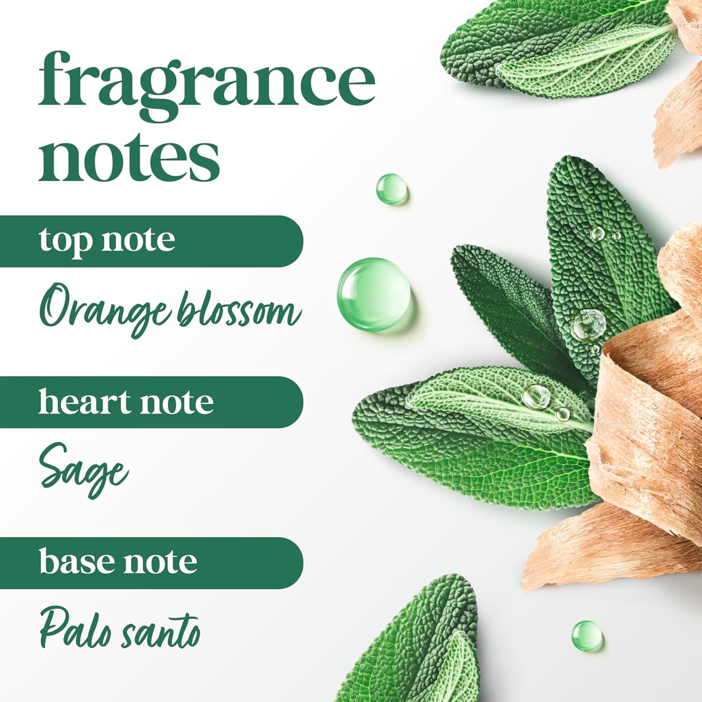 limited edition warm palo santo and sage fragrance (3.8 oz size)