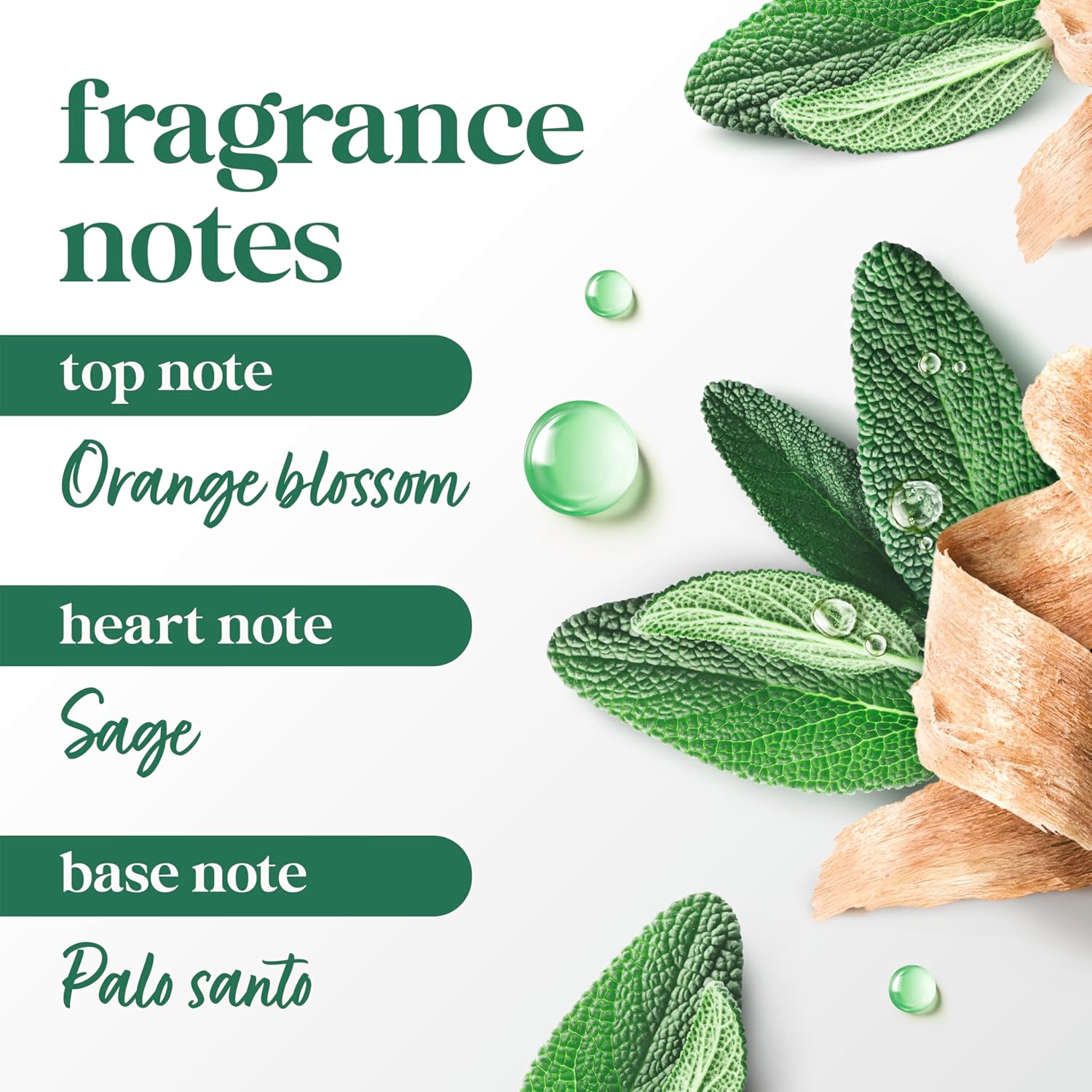 limited edition warm palo santo and sage fragrance (3.8 oz size)