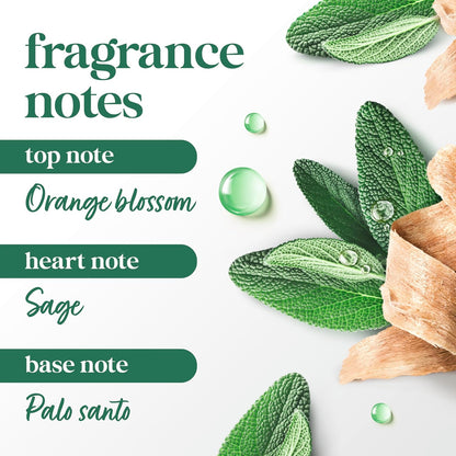 limited edition warm palo santo and sage fragrance (3.8 oz size)