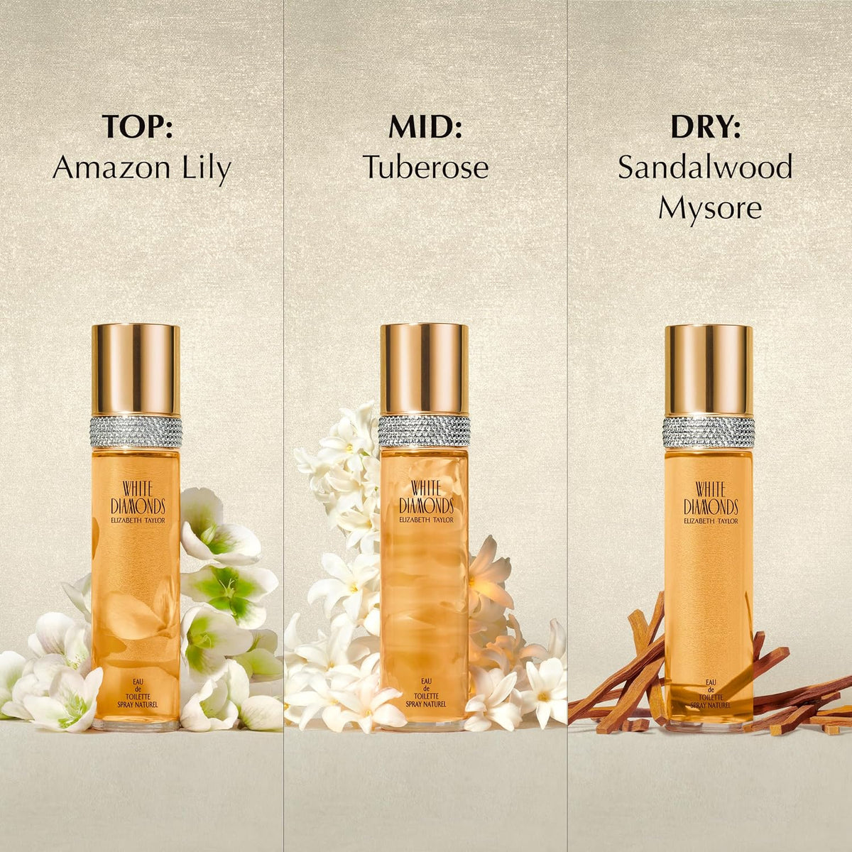 long-lasting formulation designed for all-day wear