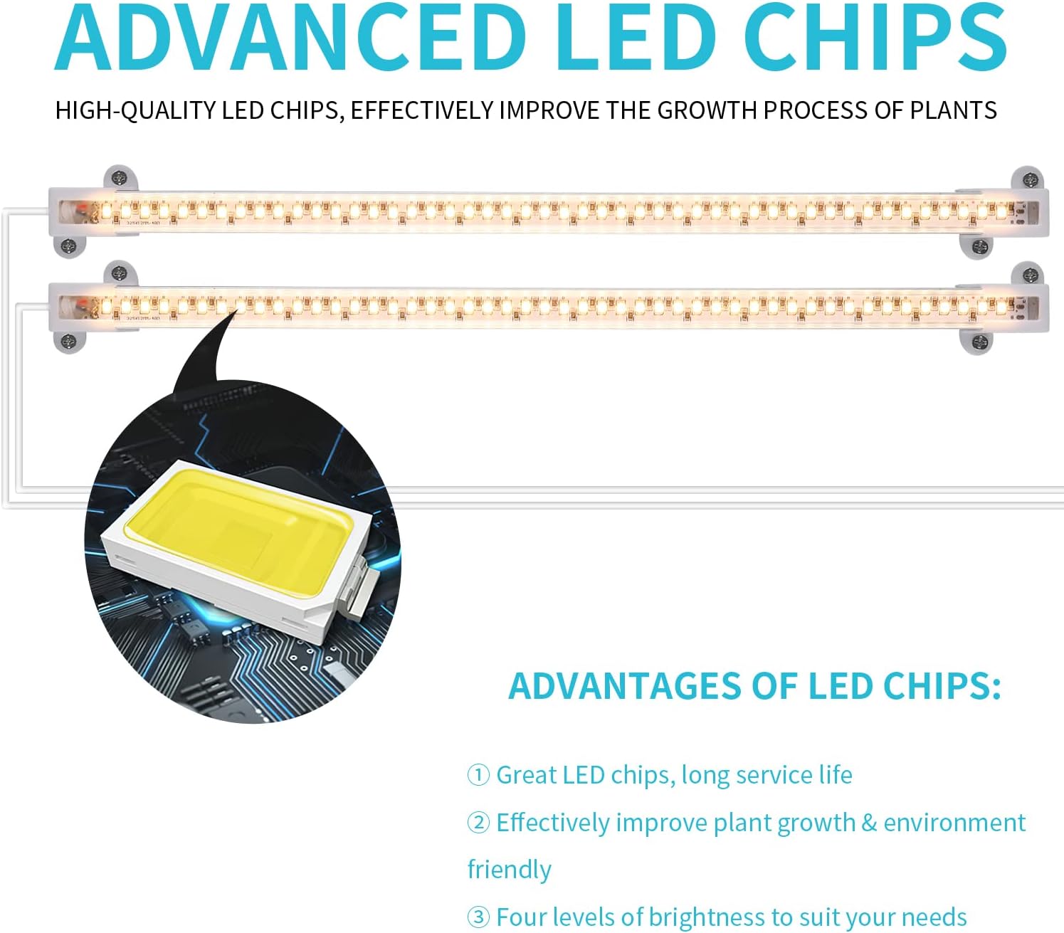LORDEM Grow Light Strip – Clean-Line Plant Light for Uncluttered Apartment, One-Tap Timer Simplicity