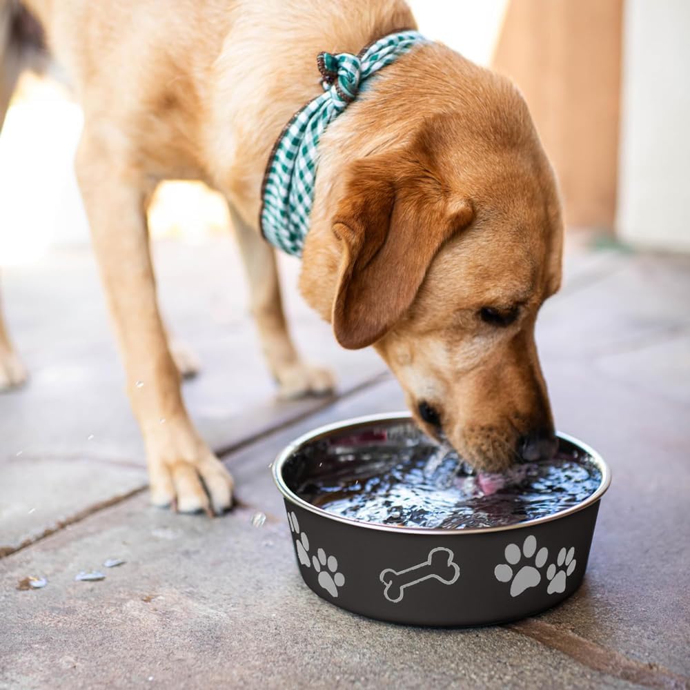 Loving Pets Bella Designer Pet Bowl Set – Holiday Gift for Dog Moms and Style Conscious Cat Owners, Espresso