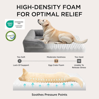 lowered front entry for easier access, especially for pets with limited mobility