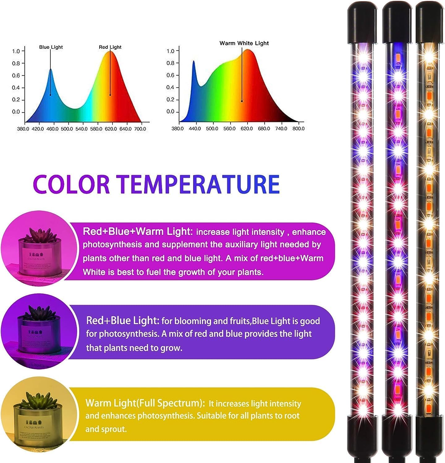 LUMIPRO Grow Light for Indoor Plants — Home Office Desk Lamp with Auto Timer for Focus Sessions and Background Greenery