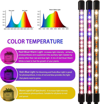 LUMIPRO Grow Light for Indoor Plants — Home Office Desk Lamp with Auto Timer for Focus Sessions and Background Greenery