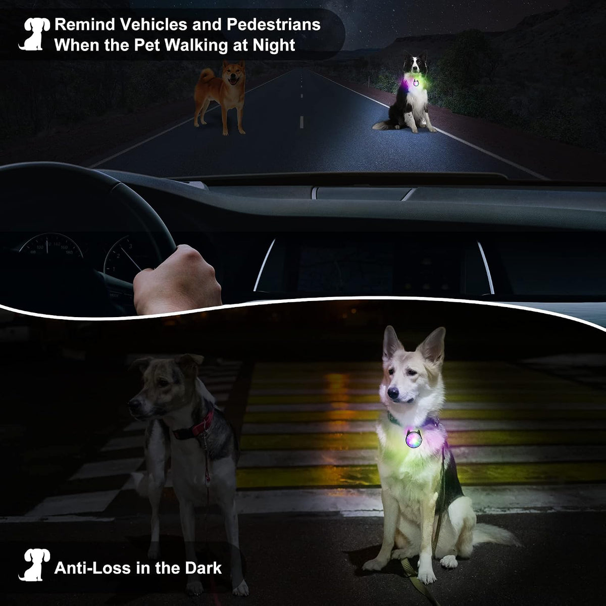 LumiPup Dog Collar Light – Calming Evening Walk Companion for Anxious Dogs, Soft LED Glow
