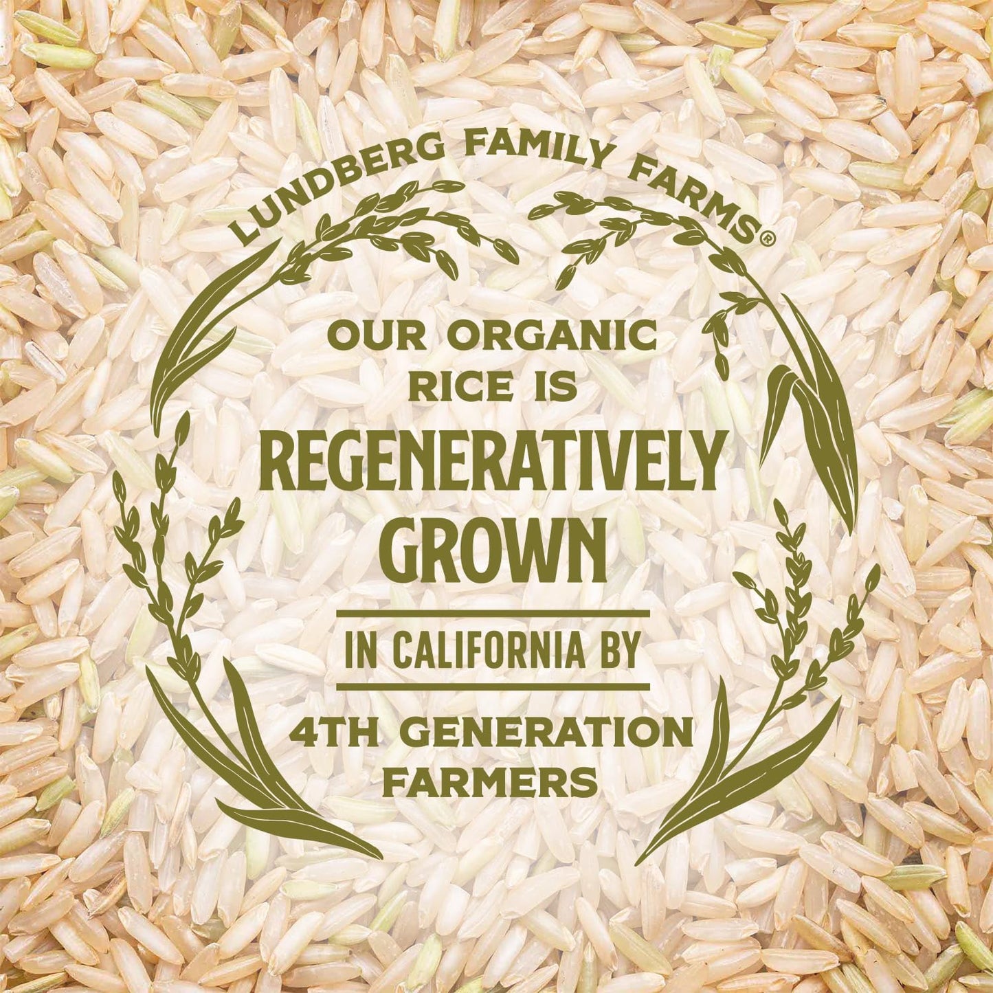 Lundberg Organic Brown Basmati Rice – Thoughtful Gift for Health-Conscious Home Cooks
