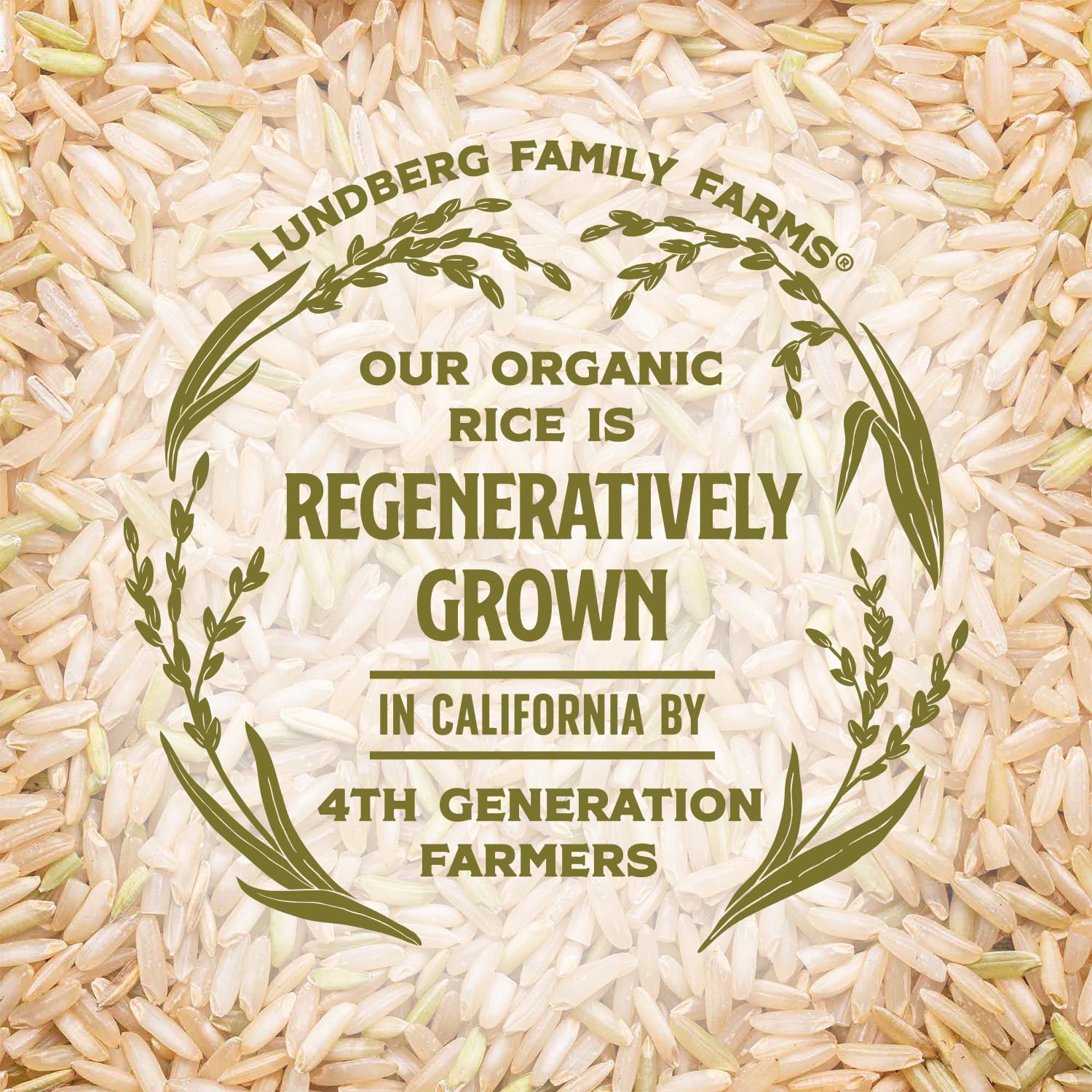 Lundberg Organic Brown Basmati Rice – Thoughtful Gift for Health-Conscious Home Cooks