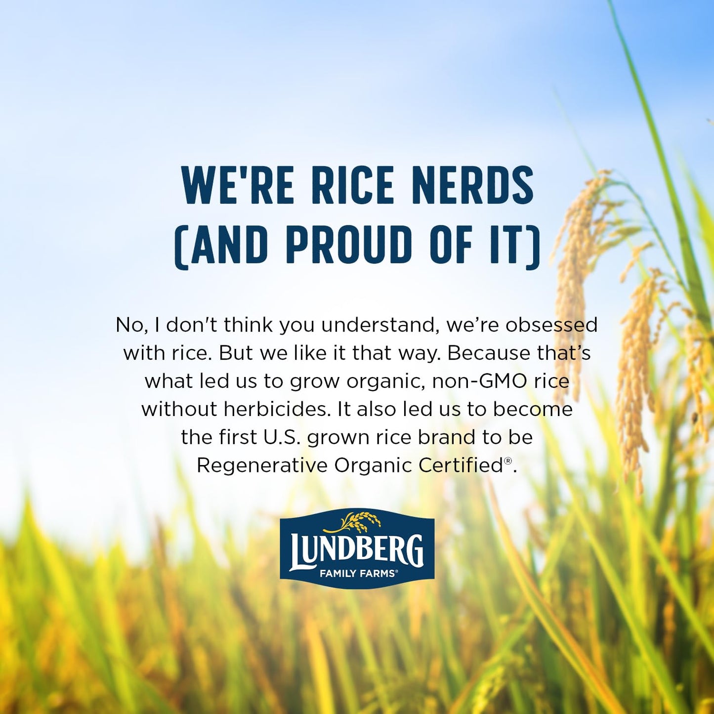 Lundberg Organic Brown Basmati Rice – Thoughtful Gift for Health-Conscious Home Cooks