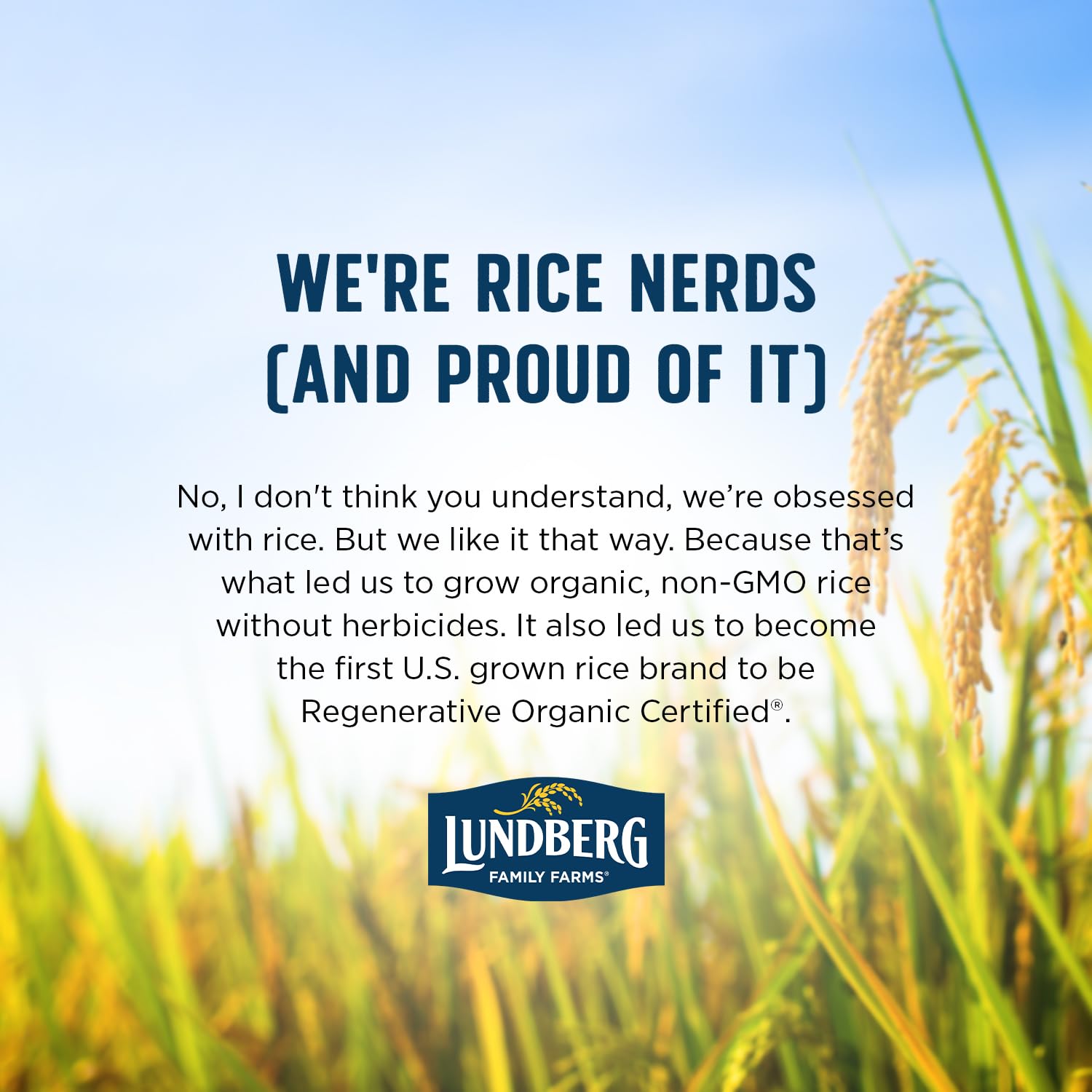 Lundberg Organic Brown Basmati Rice – Thoughtful Gift for Health-Conscious Home Cooks