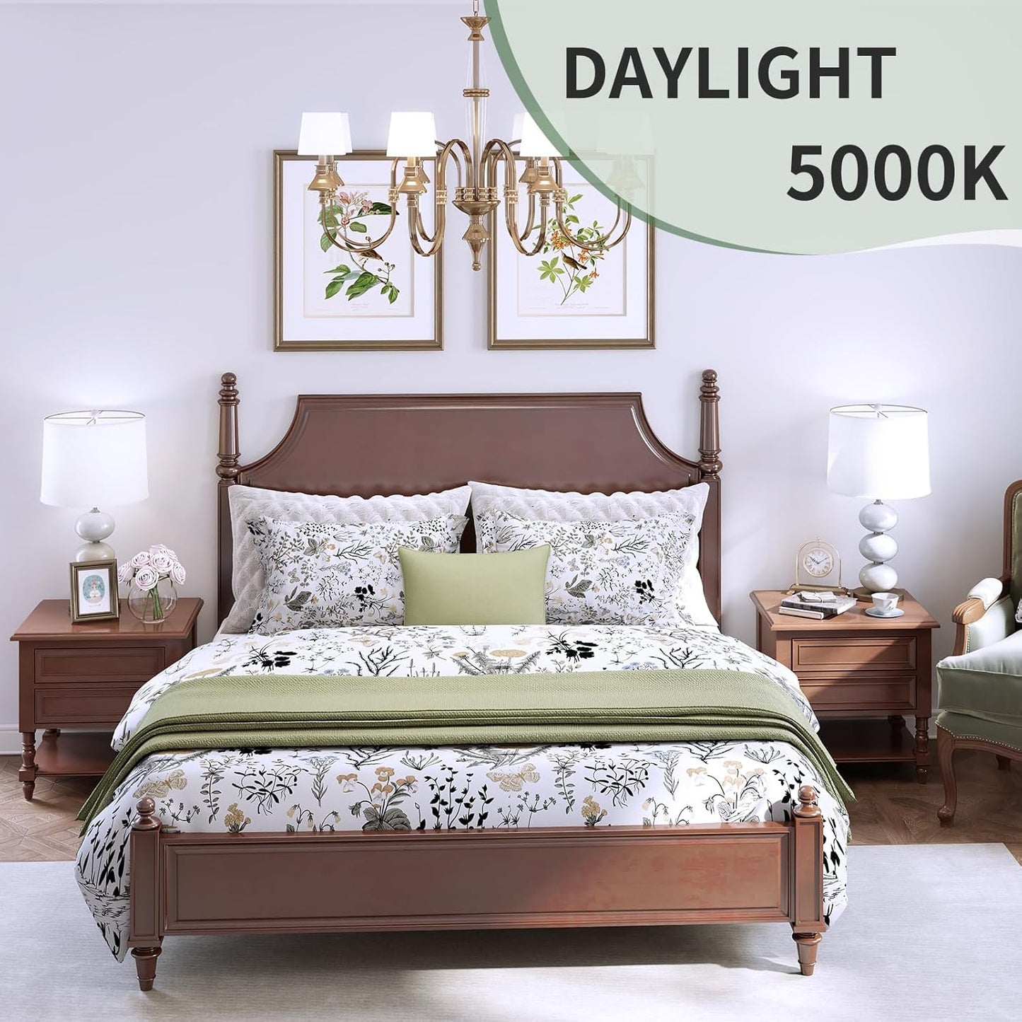 LUXRITE A19 LED Bulb 5000K Daylight – Spa-Like Bathroom Vanity Lighting for Morning Routines, 9W E26 4-Pack