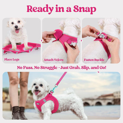 matching 5.12 ft leash with anti-tangle clip and palm-padded handle