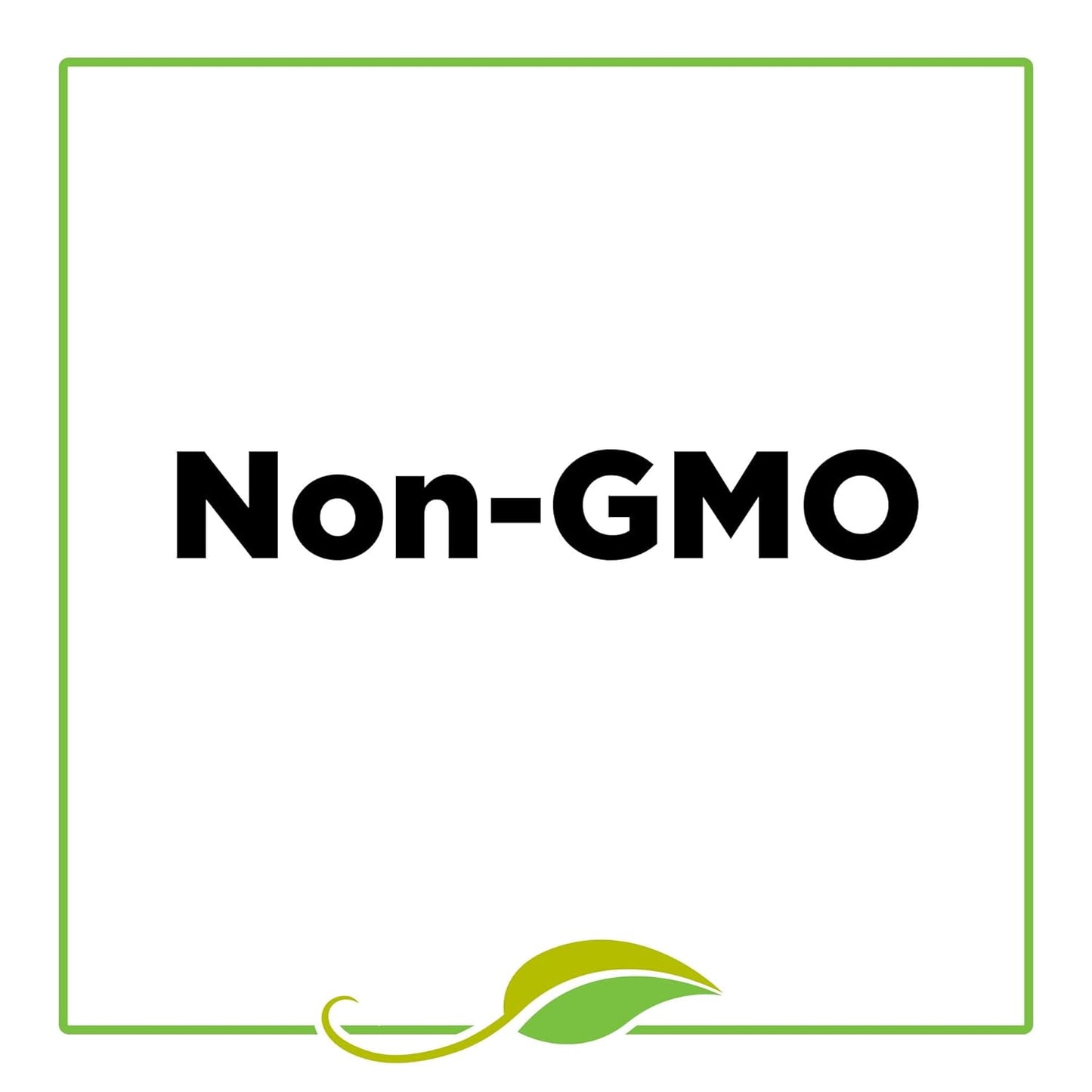 McCormick Gourmet Mexican Oregano – Non-GMO Herb for Clean-Eating Wellness Kitchen