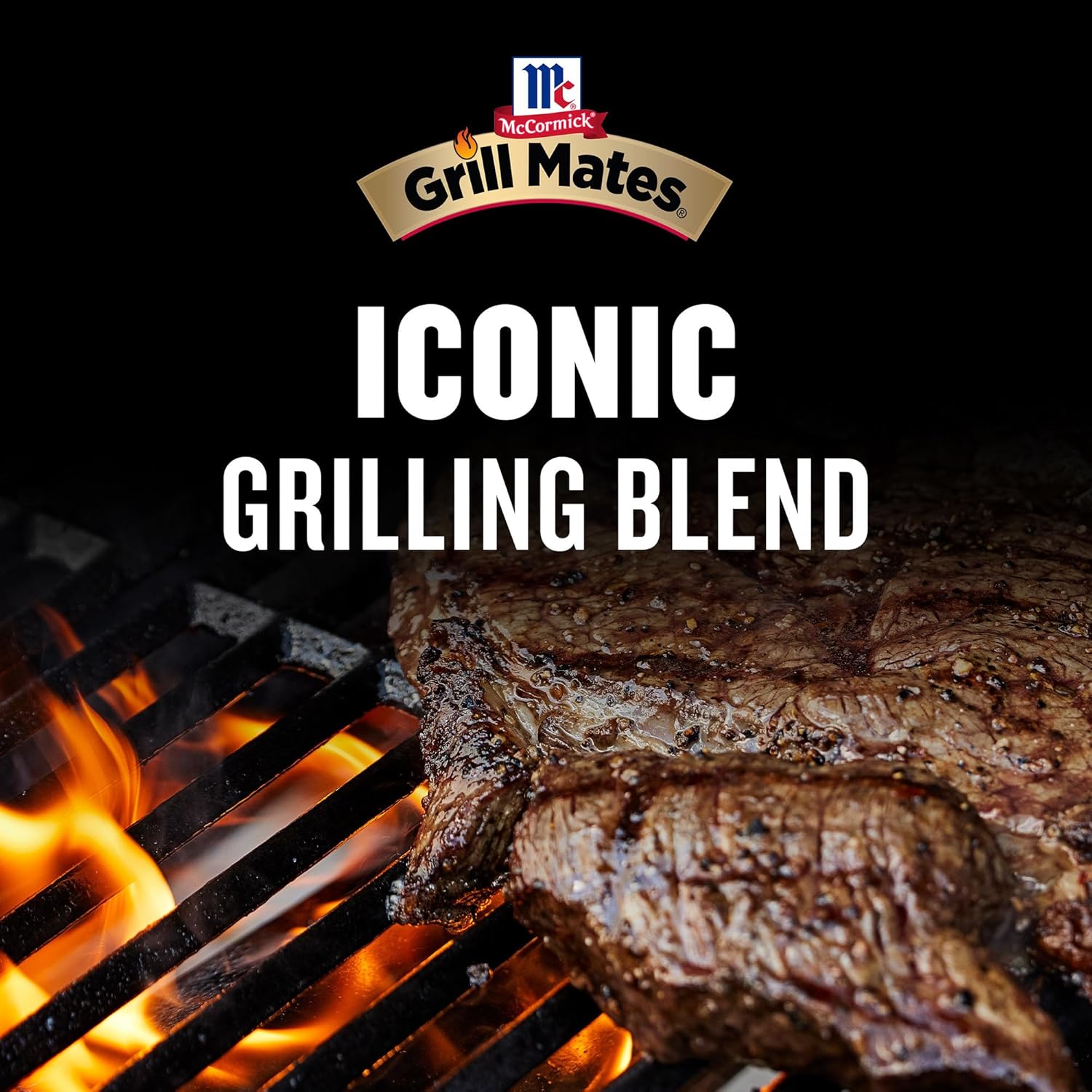 McCormick Grill Mates Reduced Sodium Montreal Steak Seasoning for Camping and RV Trips, Travel-Friendly Spice for Open-Air Grilling