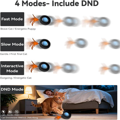 MeowMotion Motion Activated Cat Toy – Hands-Free Enrichment for Working Professionals, 3-Hour Auto Cycle