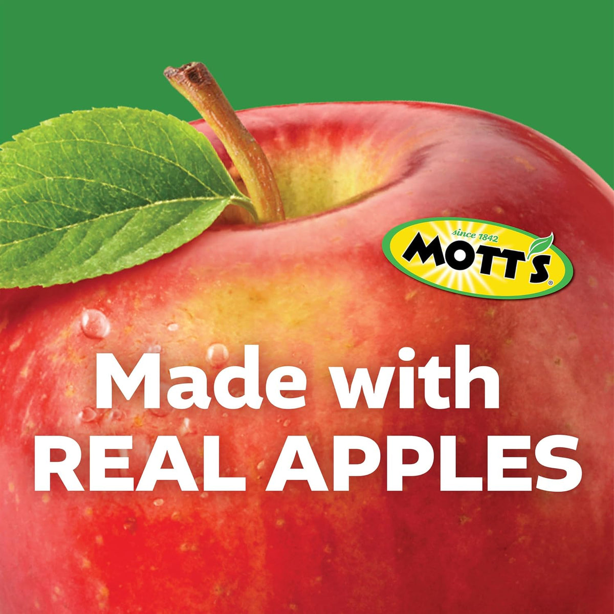 Mott's No Sugar Added Fruit Pouches – Apple, Strawberry, Blueberry, Cinnamon Snack Pack for Children and Toddlers