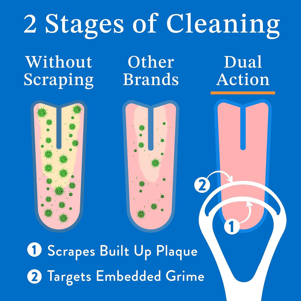 Mouthology Copper Tongue Scraper 2 Pack – Holistic Oral Care Upgrade for the Wellness-Focused Adult