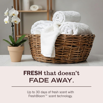MRS. MEYER'S CLEAN DAY Natural Detergent – Intentional Ingredients, Minimal Packaging, Maximum Efficiency