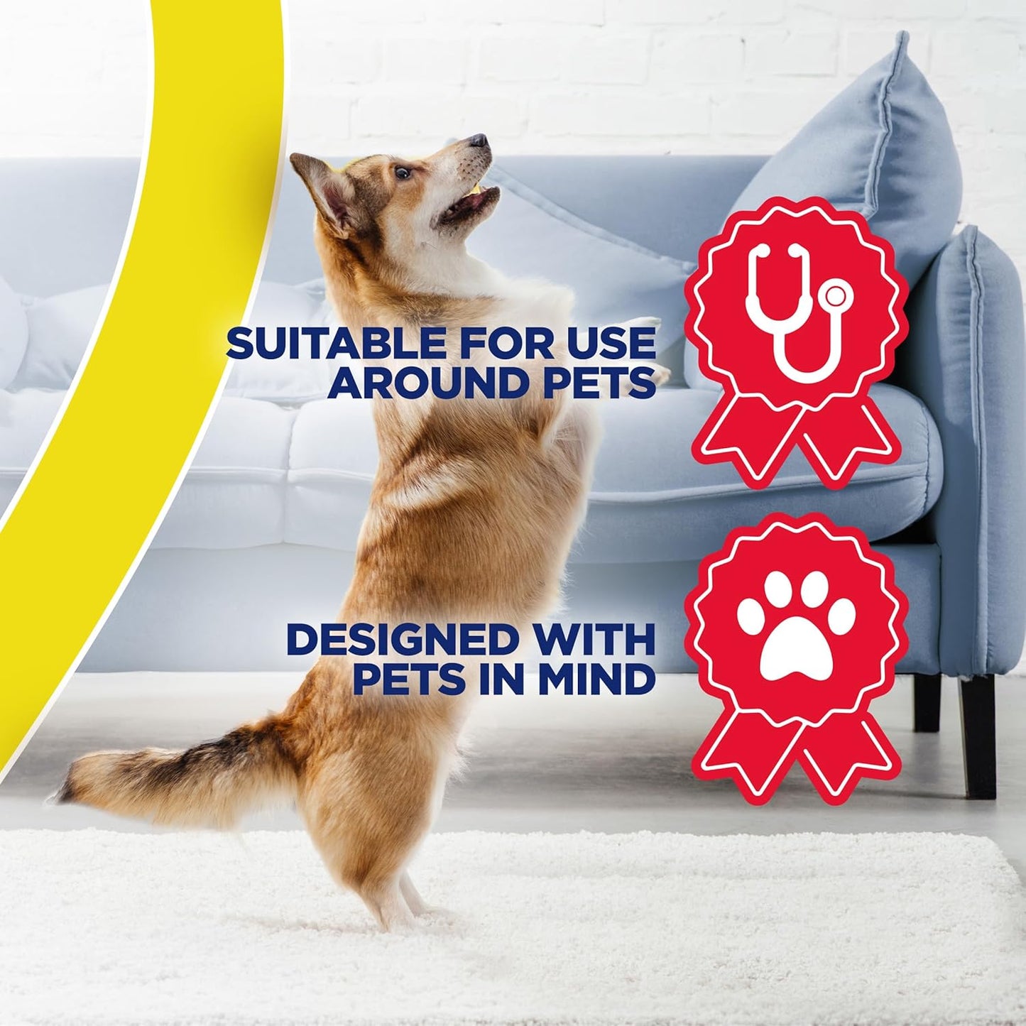multi-surface compatibility: carpet, upholstery, and area rugs