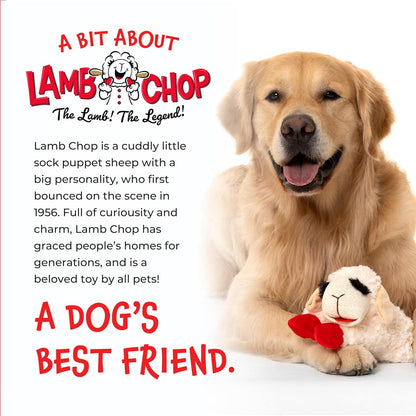 Multipet Lamb Chop Plush – Durable Single-Squeaker Dog Toy for Supervised Indoor Play, No Small Parts