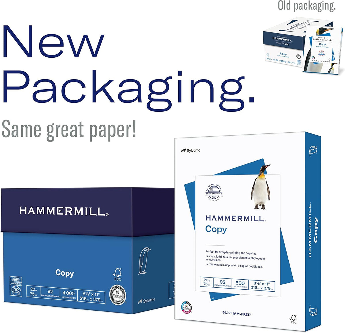 multiple size variants including letter (8.5x11), legal (8.5x14), and ledger (11x17) for diverse print jobs