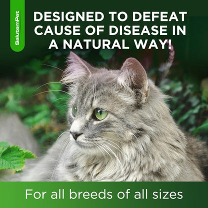 Natural Cat Antibiotic Drops – Thoughtful Gift for Holistic Cat Owners and Multi-Cat Households