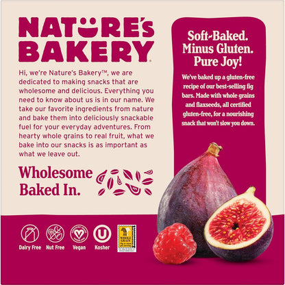 Nature's Bakery Blueberry Fig Bars – Safe Pantry Staple for Nut-Free Classrooms