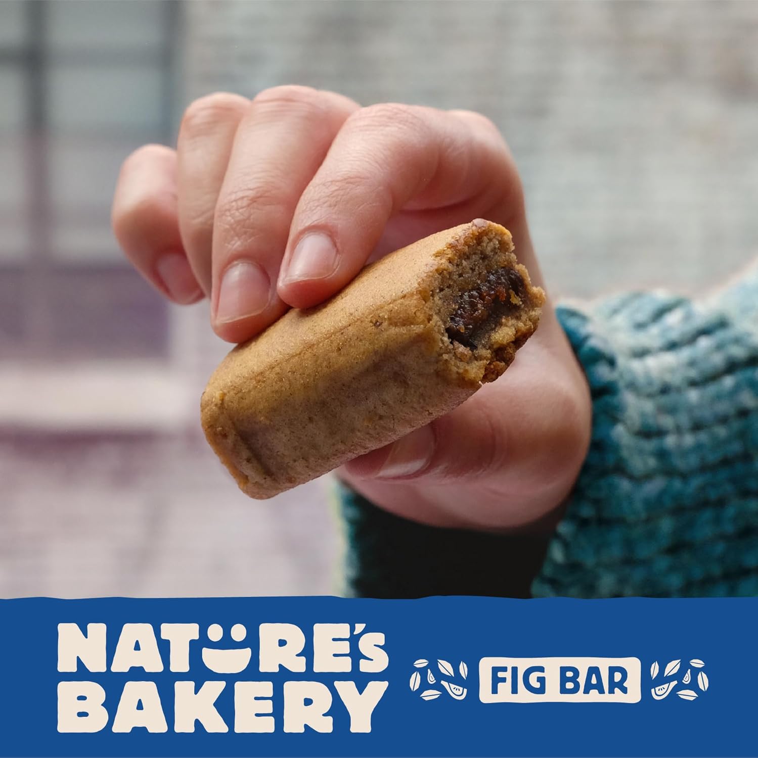 Nature's Bakery Real Fruit Fig Bars – Gym Bag Fuel for Active Lifestyles