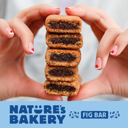 Nature's Bakery Whole Wheat Bars – Camping and Beach Day Snack, Soft Baked Twin Packs