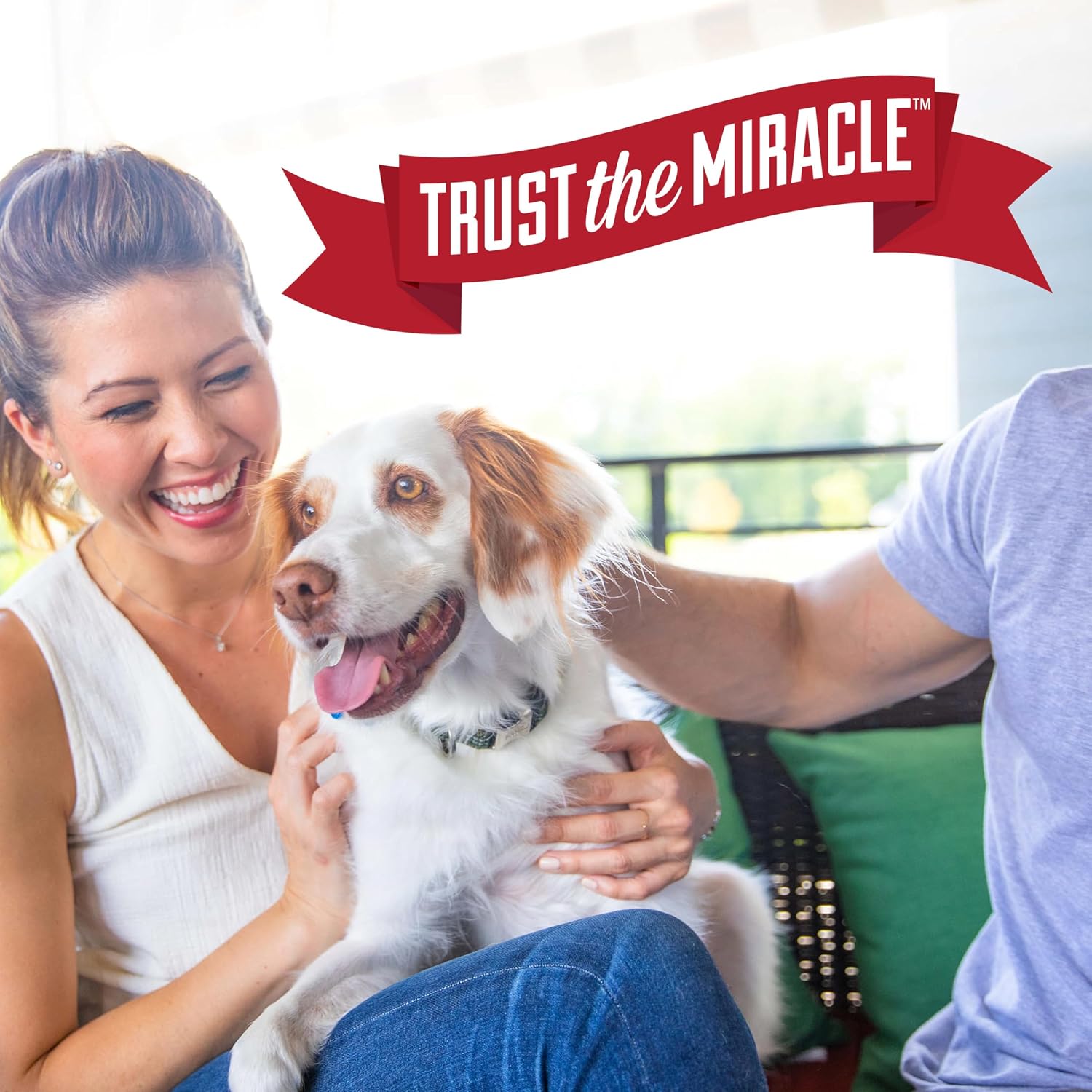 Nature's Miracle Advanced Dog Odor Eliminator – Family-Safe Enzymatic Cleaner for Carpets, Rugs, and Upholstery