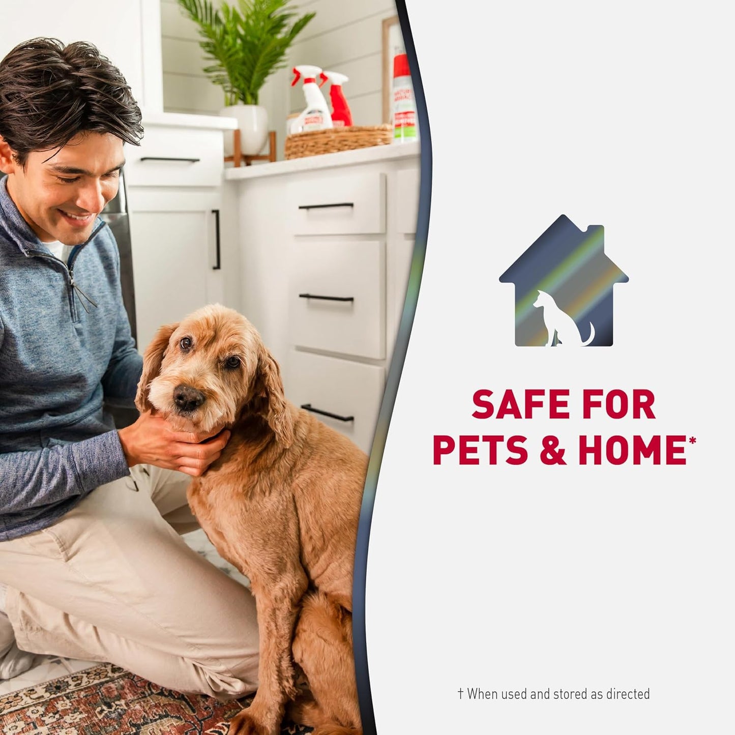 Nature's Miracle Advanced Dog Odor Eliminator – Family-Safe Enzymatic Cleaner for Carpets, Rugs, and Upholstery