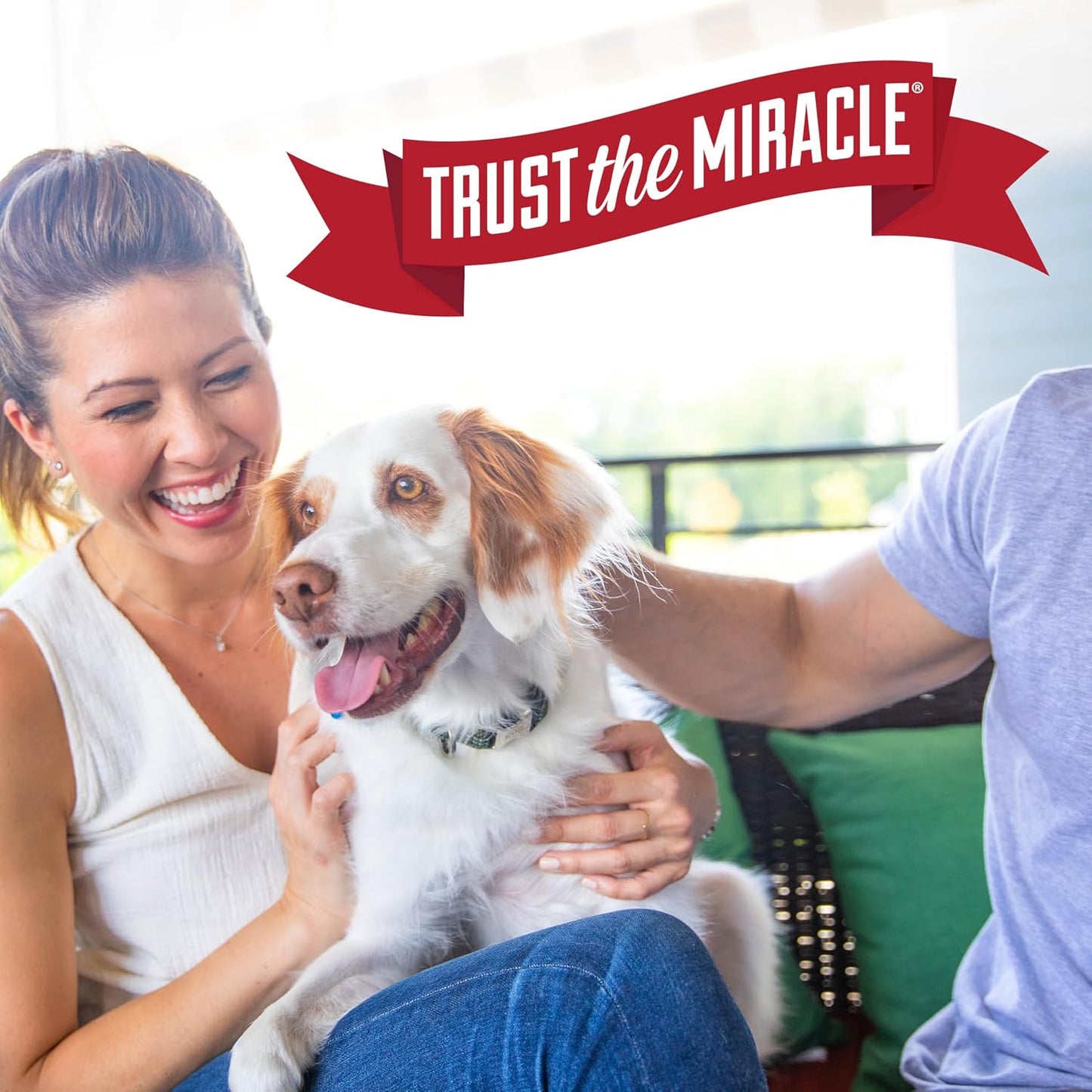 Nature’s Miracle Stain and Odor Remover Dog, 32 Ounces – Non-Harsh Formula Safe Around Crawling Babies