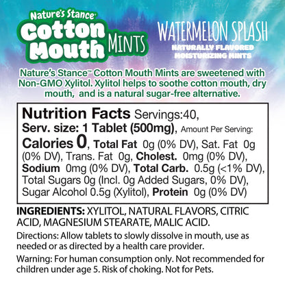 Nature's Stance Cotton Mouth Xylitol Mints – Durable Tin Lozenges for Camping, Hiking, and Backcountry Trips