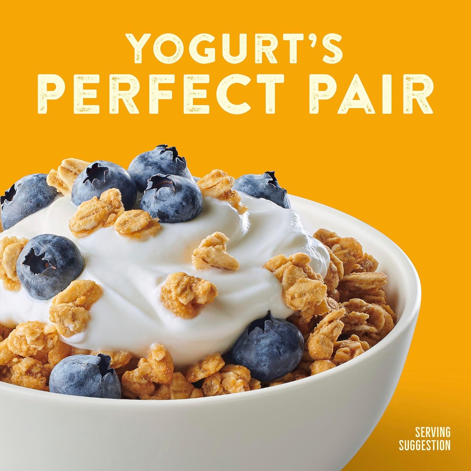Nature Valley Protein Granola Oats and Honey Kid-Friendly Snack Bowl, Crunchy Cluster Cereal for Snack Time and Lunchboxes