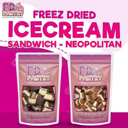 Neapolitan Freeze Dried Dessert 2 Pack – Conversation-Starting Party Favor and Hostess Gift Bag