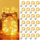 [24 Pack] 7 Feet 20 LED - Warm White