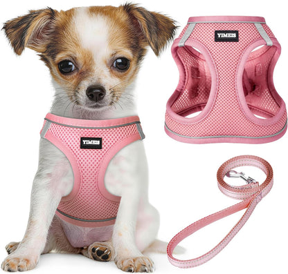 no-pull vest-style harness with chest pressure distribution to prevent choking